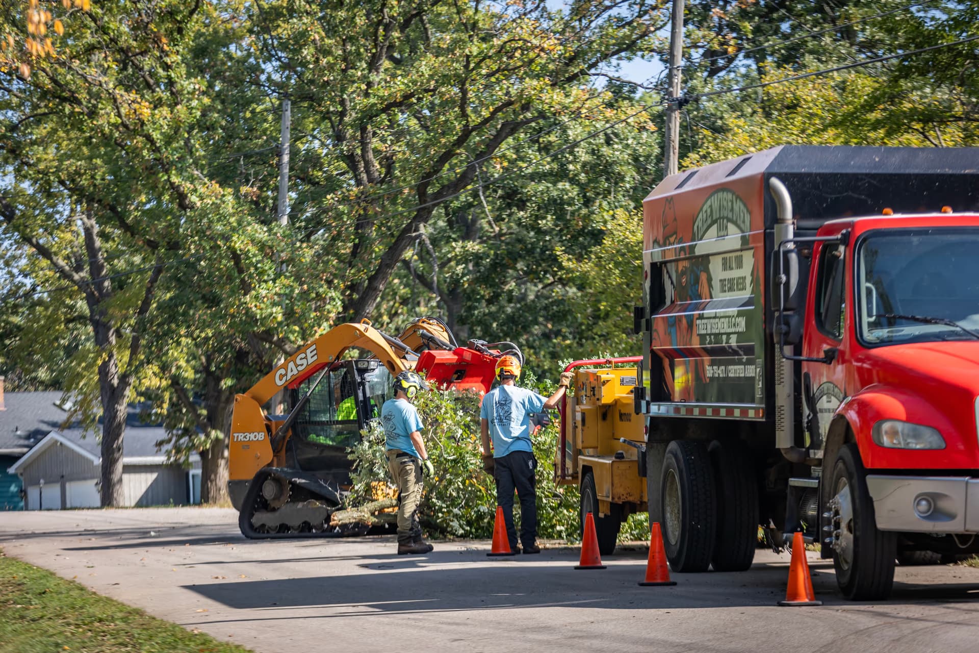Tree Wise Men crew loading brush into a branded company truck