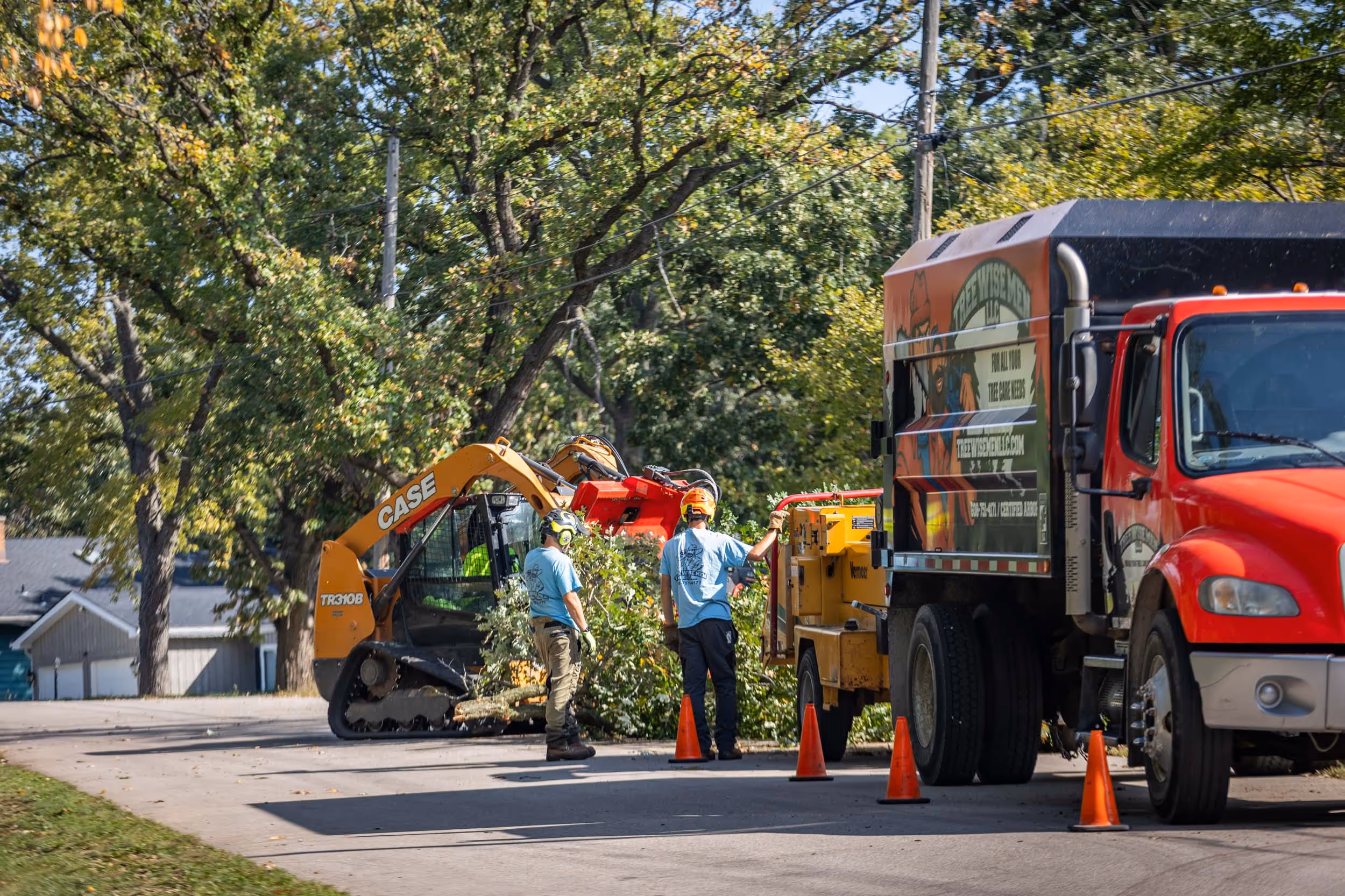 Arborist diagnosing tree disease near UW-Madison