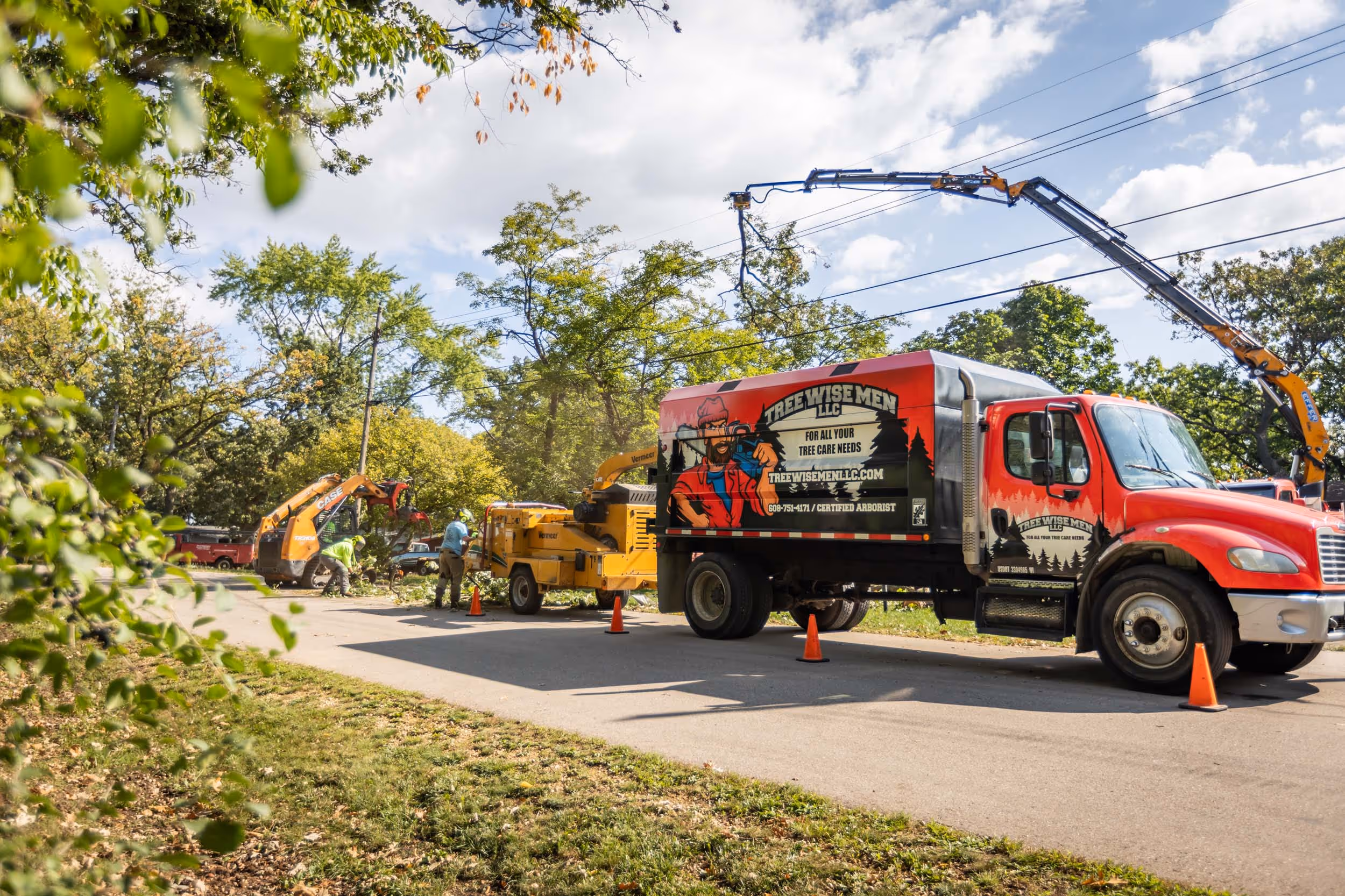 ISA Certified Arborist pruning a mature maple tree in Wisconsin