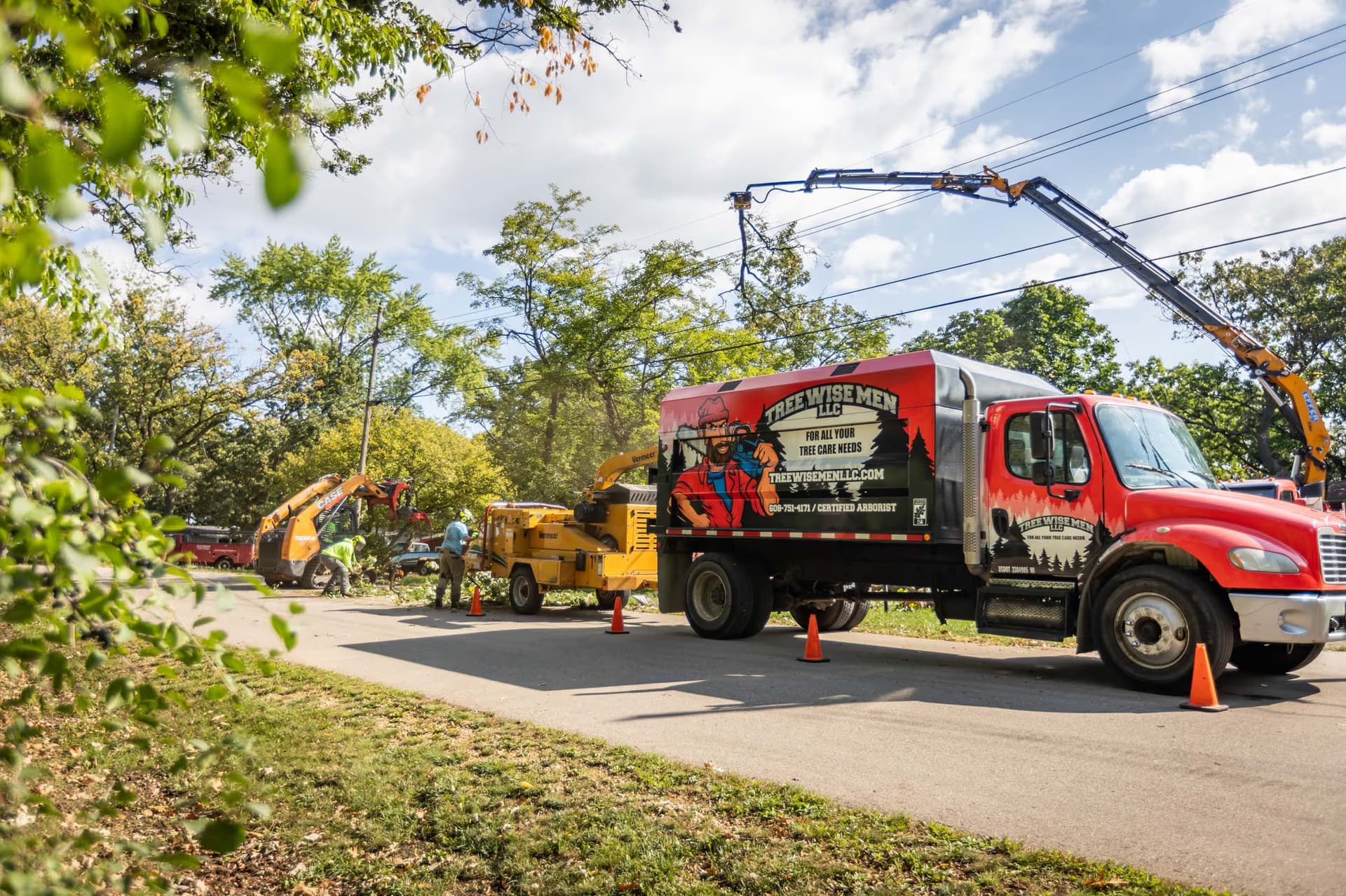 Large technical tree removal with crane