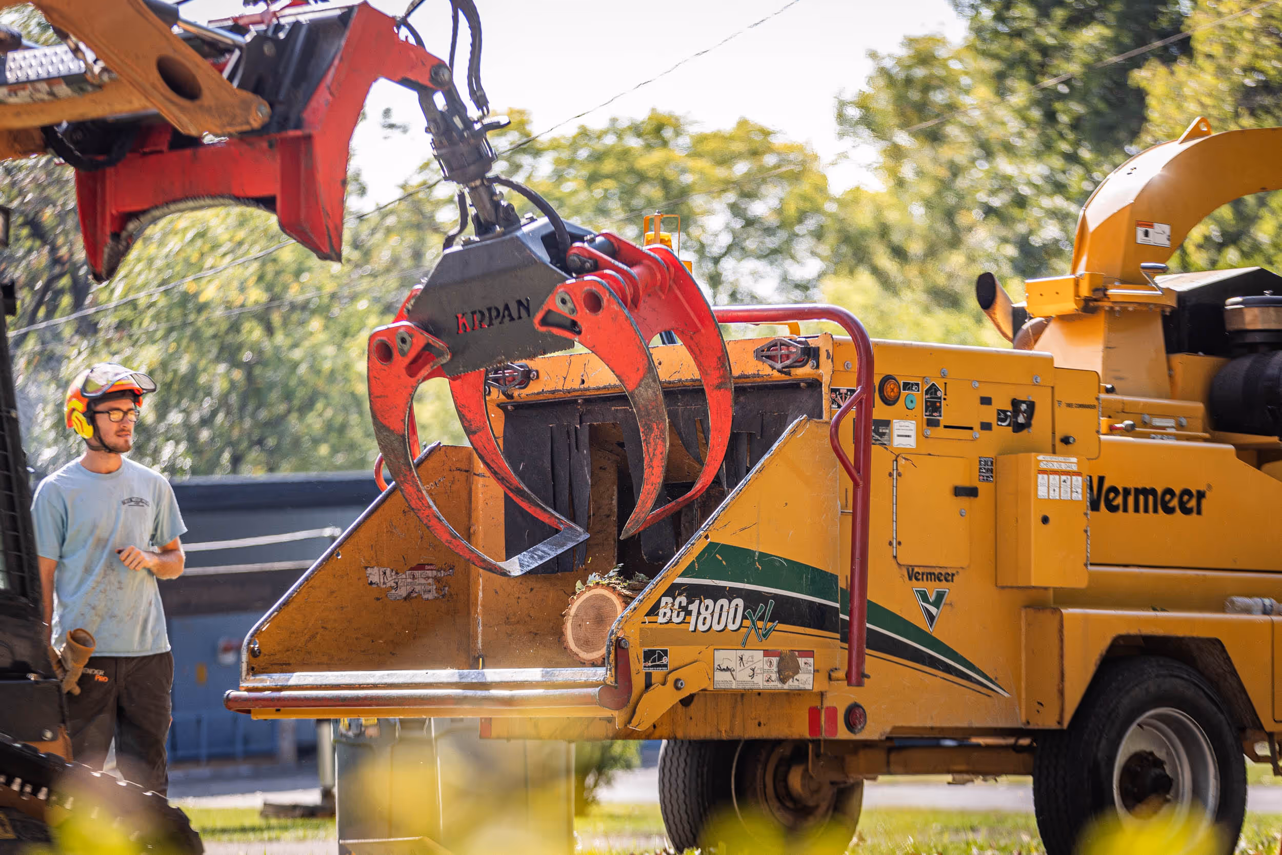 Tree Removal Project on Hawthorne Ave, Janesville, WI 53545