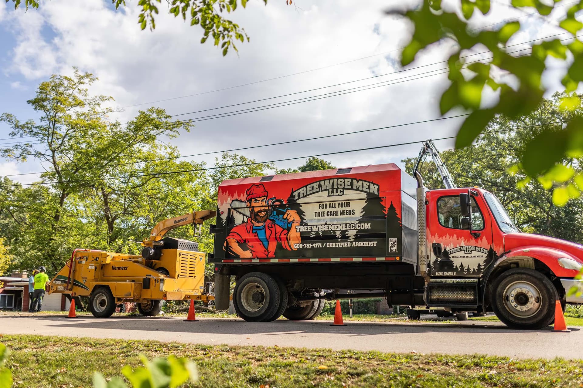 Madison Tree Pruning Calendar: When to Prune by Species