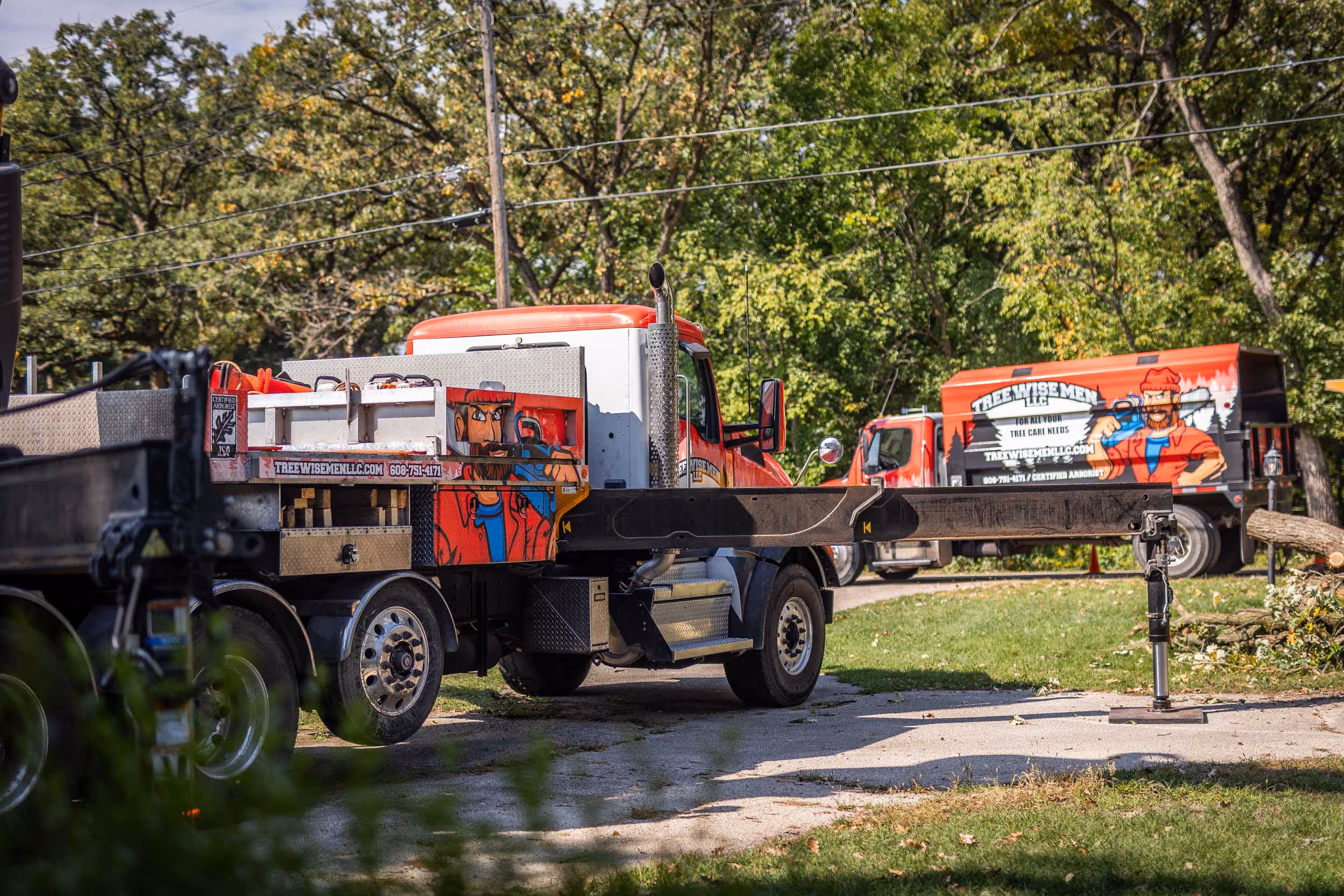 When Is the Best Time to Trim Trees in Wisconsin? An Arborist's Calendar