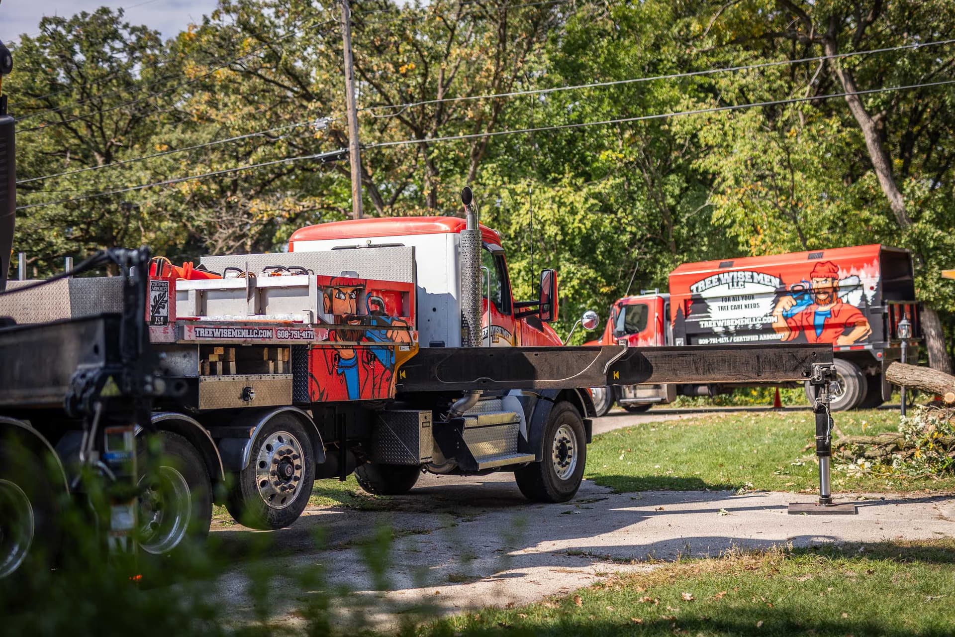 Weathering the Storm: How Tree Wise Men LLC Helps Whitewater Rebound After Nature’s Wrath