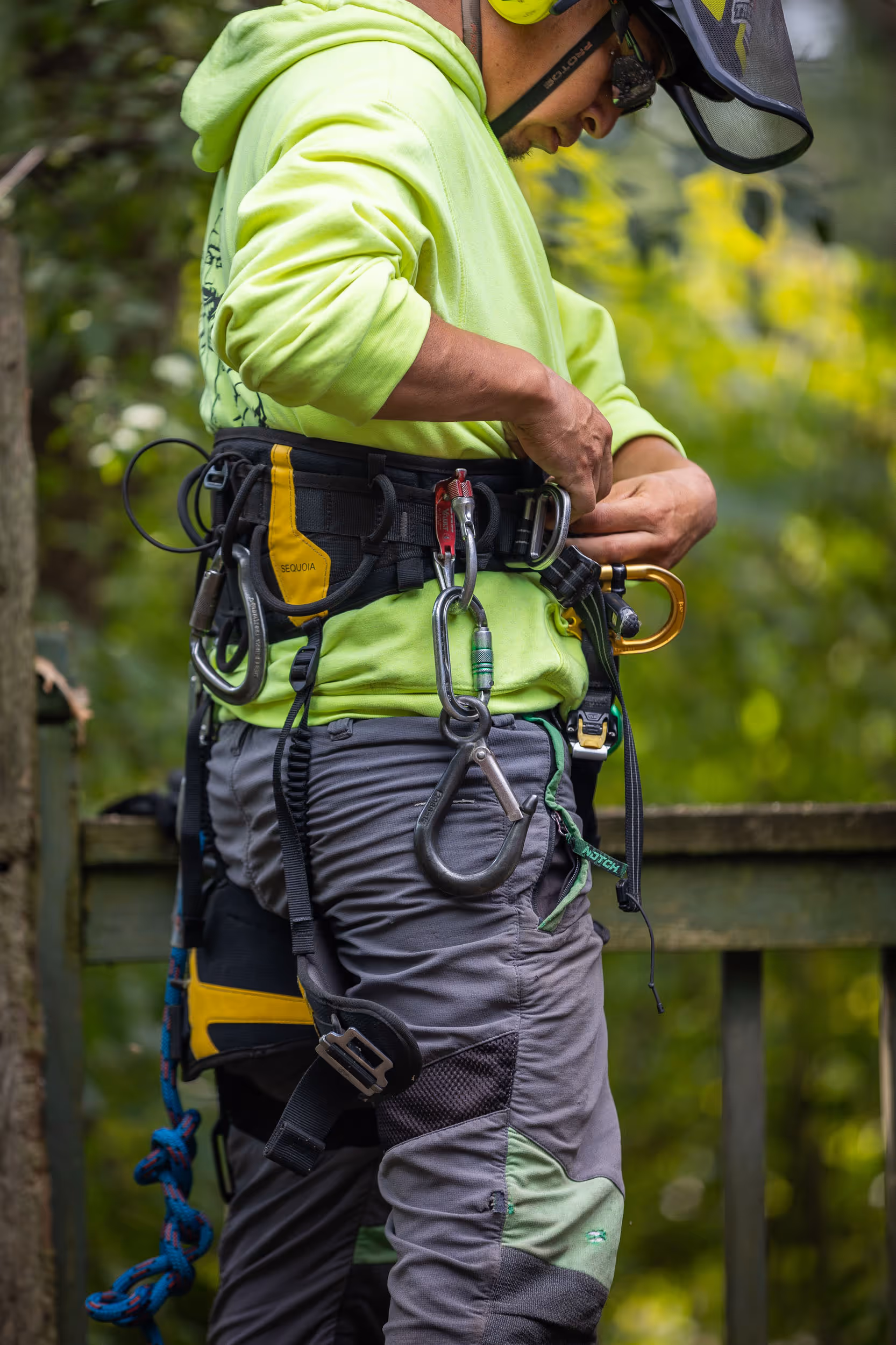 Tree care service in DeForest, Wisconsin