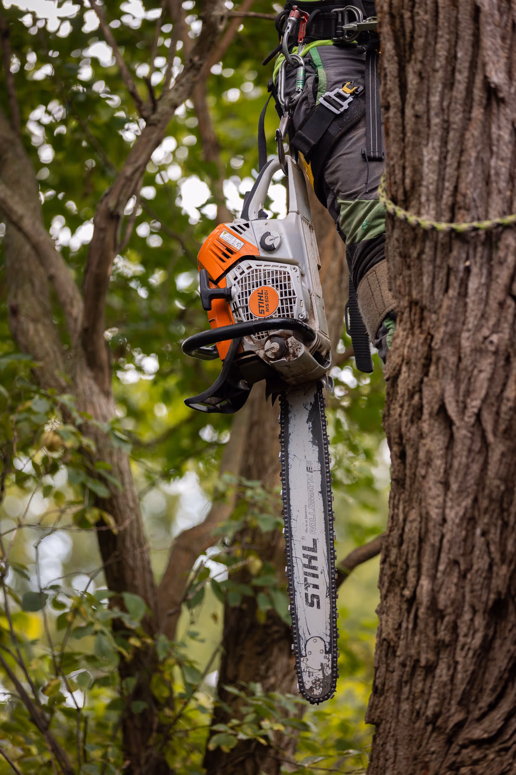 Tree Wise Men crew at work in Southern Wisconsin