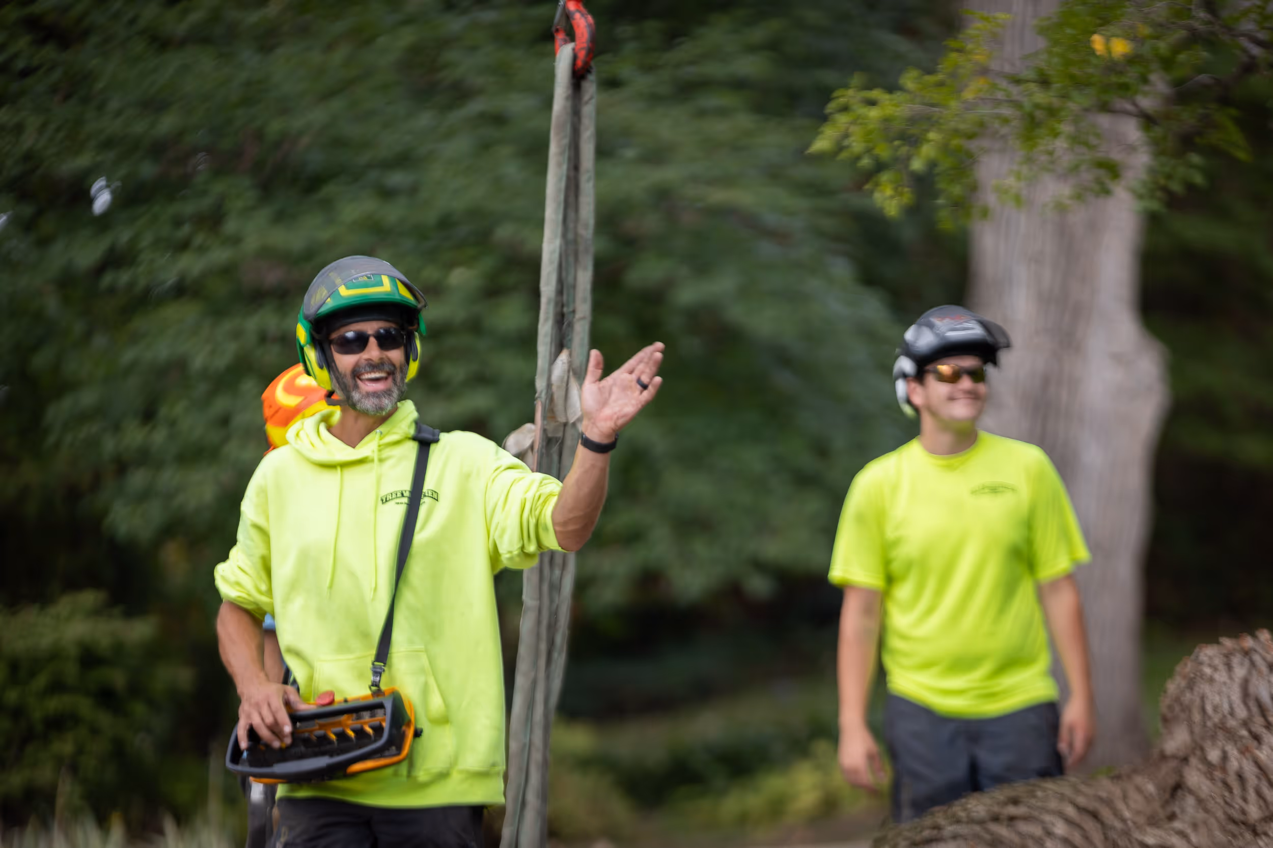 Tree Wise Men crew at work in Southern Wisconsin