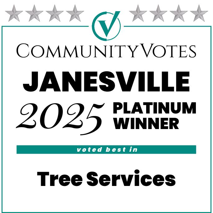 CommunityVotes 2025