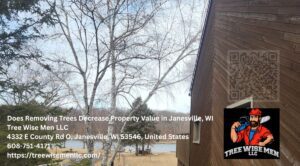 Does Removing Trees Decrease Property Value in Janesville, WI