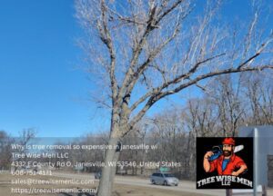 Why is tree removal so expensive in janesville wi