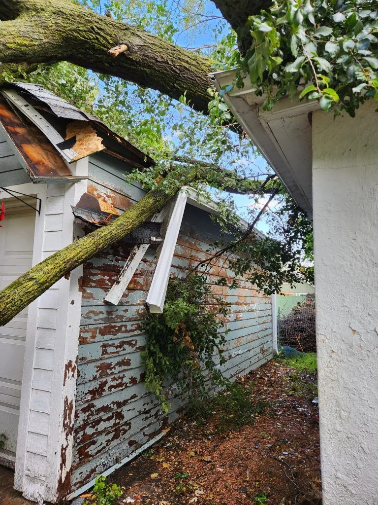 How Much Does Tree Removal Cost in Janesville?