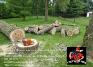 What is the cheapest way to cut down a tree janesville