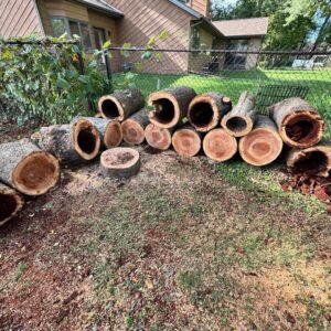 Tree removal service in W Race St, Orfordville, WI 53576, USA