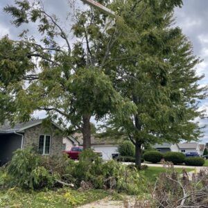 Tree Removal Project on Hawthorne Ave, Janesville, WI 53545