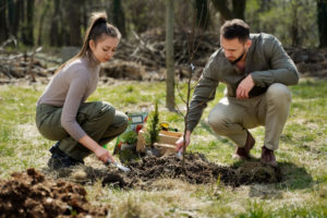 what to plant after tree removal
