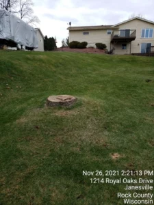 Stump Grinding Janesville WI