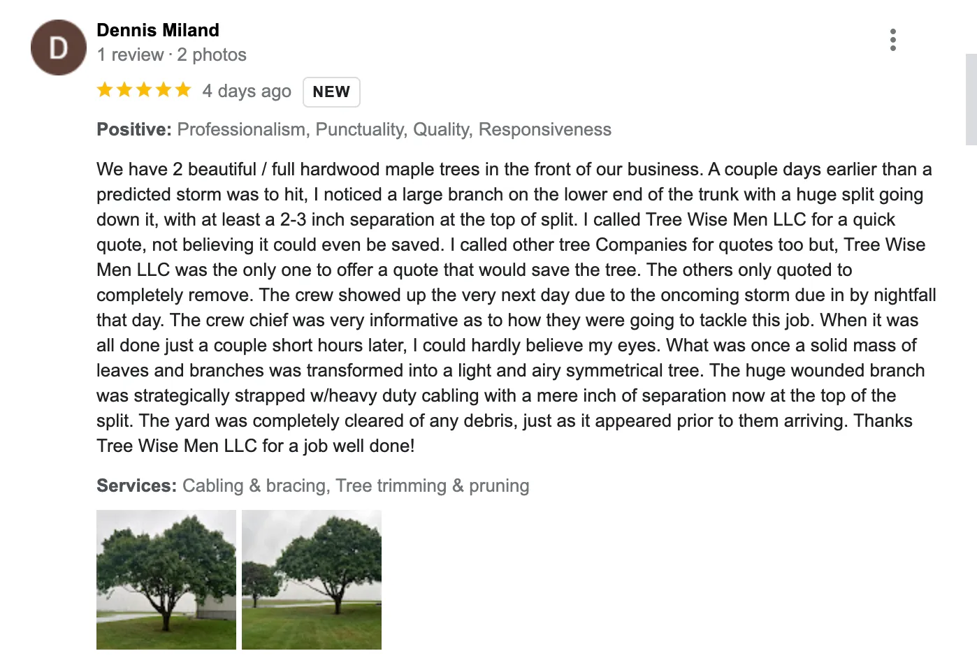 torm Damage Tree Preservation — Janesville, WI — Tree Wise Men LLC