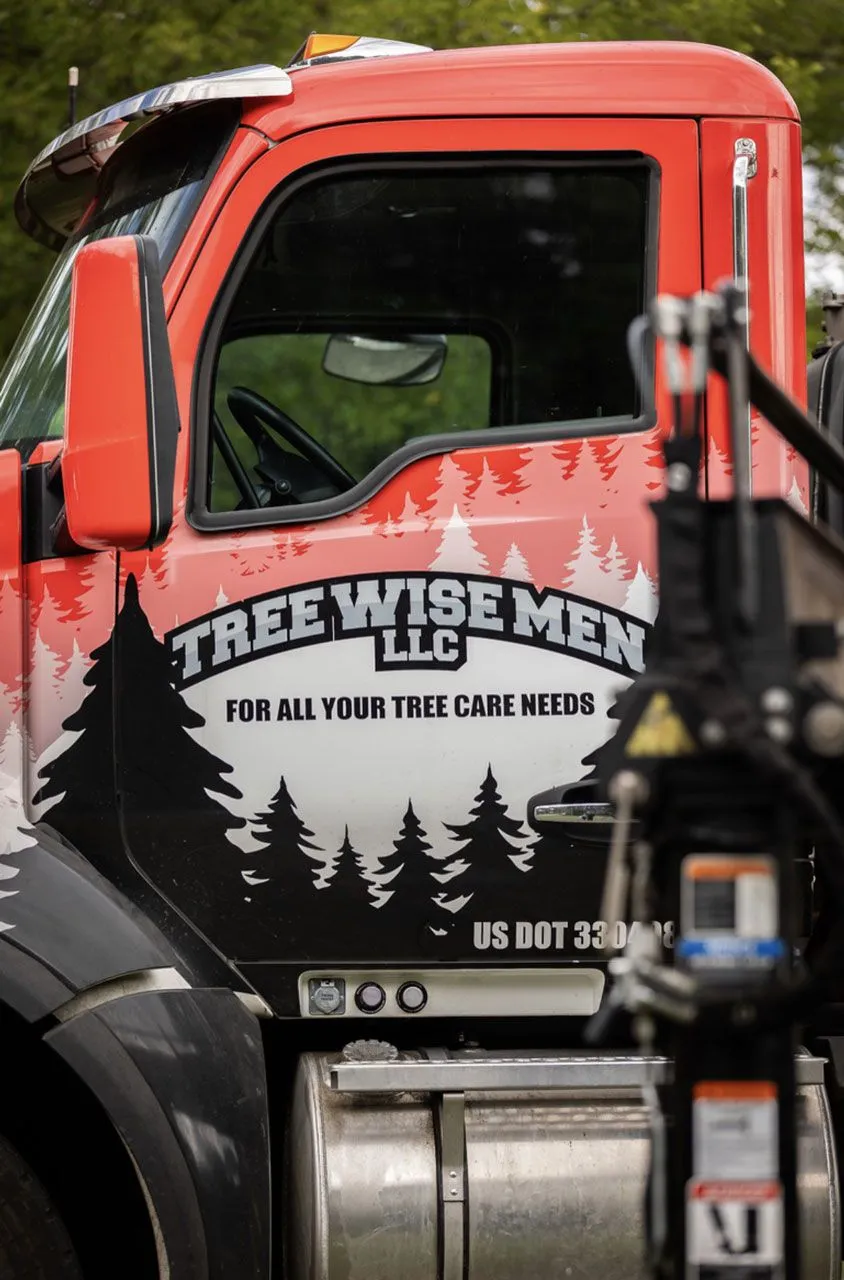 local arborists in Janesville